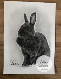 Schwarzes Kaninchen Bleistift